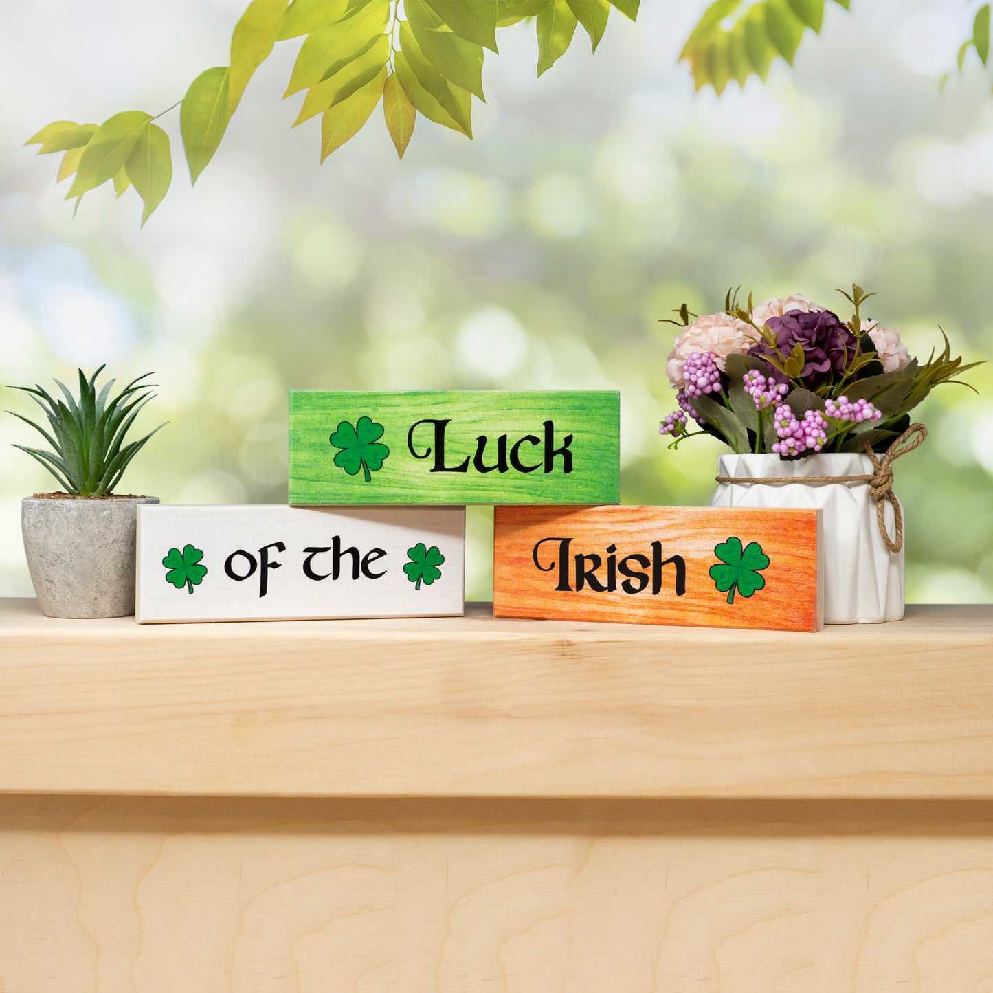 JennyGems St Patricks Day Decorations Gift, Luck of the Irish Decor Set, Tiered Tray, Centerpiece, Mantel and Shelf Decoration Signs, Made in USA