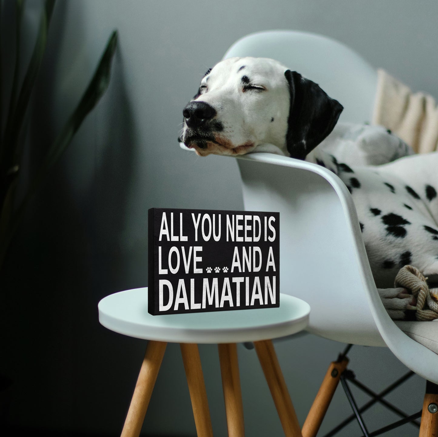 JennyGems All You Need is Love and a Dalmatian | Wooden Box Sign | Dalmatian Dog Home Accent | Dalmatian Wooden Gift Sign | Made in USA