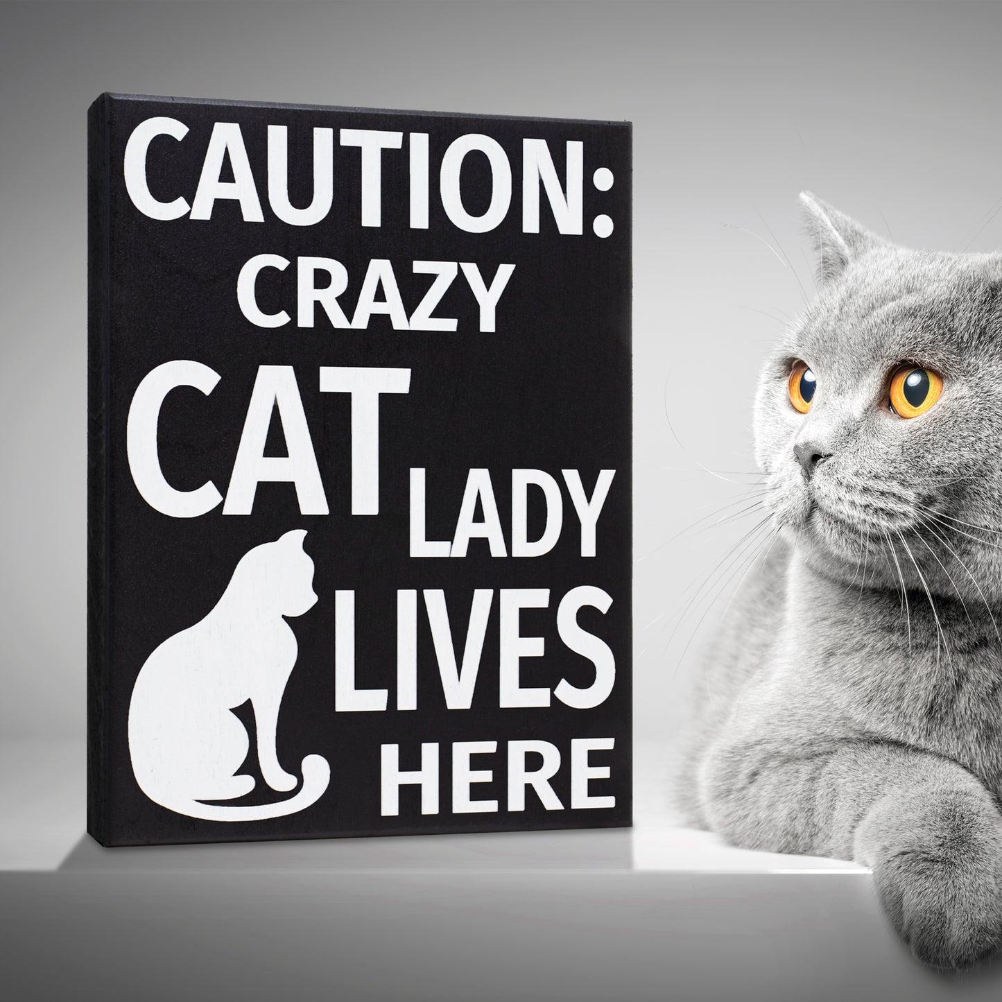 JennyGems Caution Crazy Cat Lady Lives Here Sign, 6x8 Inch Hanging Wall Art, American Made, Cat Lady Decor, Funny Cat Signs