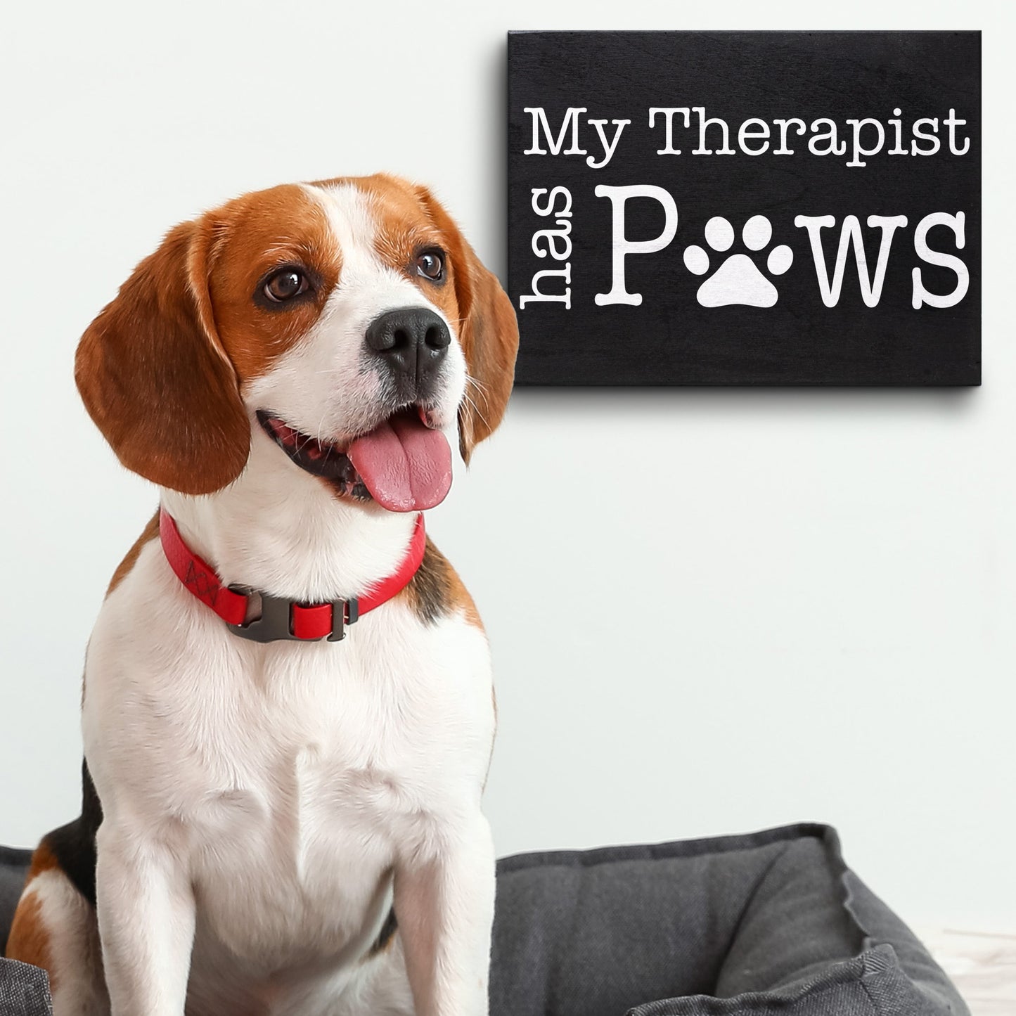 My Therapist Has Paws Wooden Sign