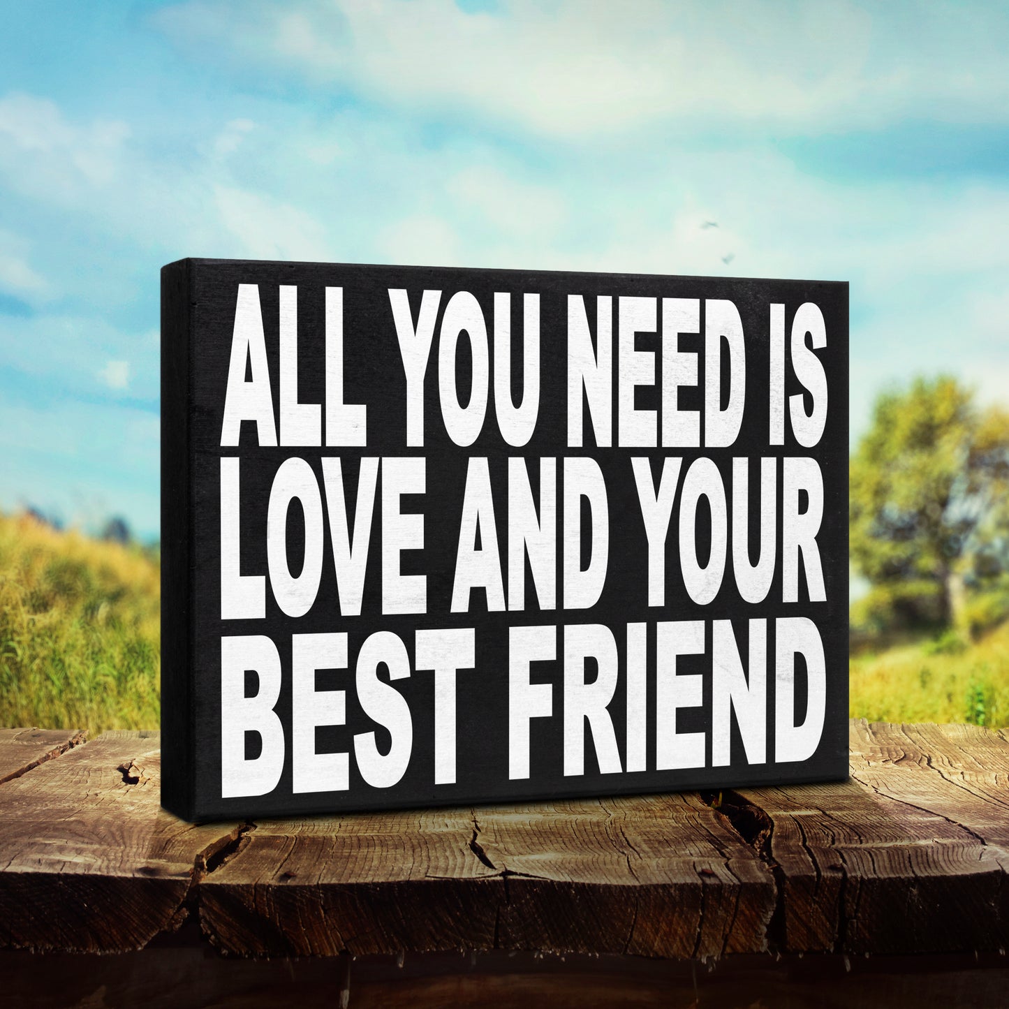 JennyGems All You Need is Love and Your Best Friend, 8x6 Inch Wood Sign, Friendship Sign - Gift for Best Friends, Best friends - Shelf Knick Knacks - Gallentines Gift for Best Friend