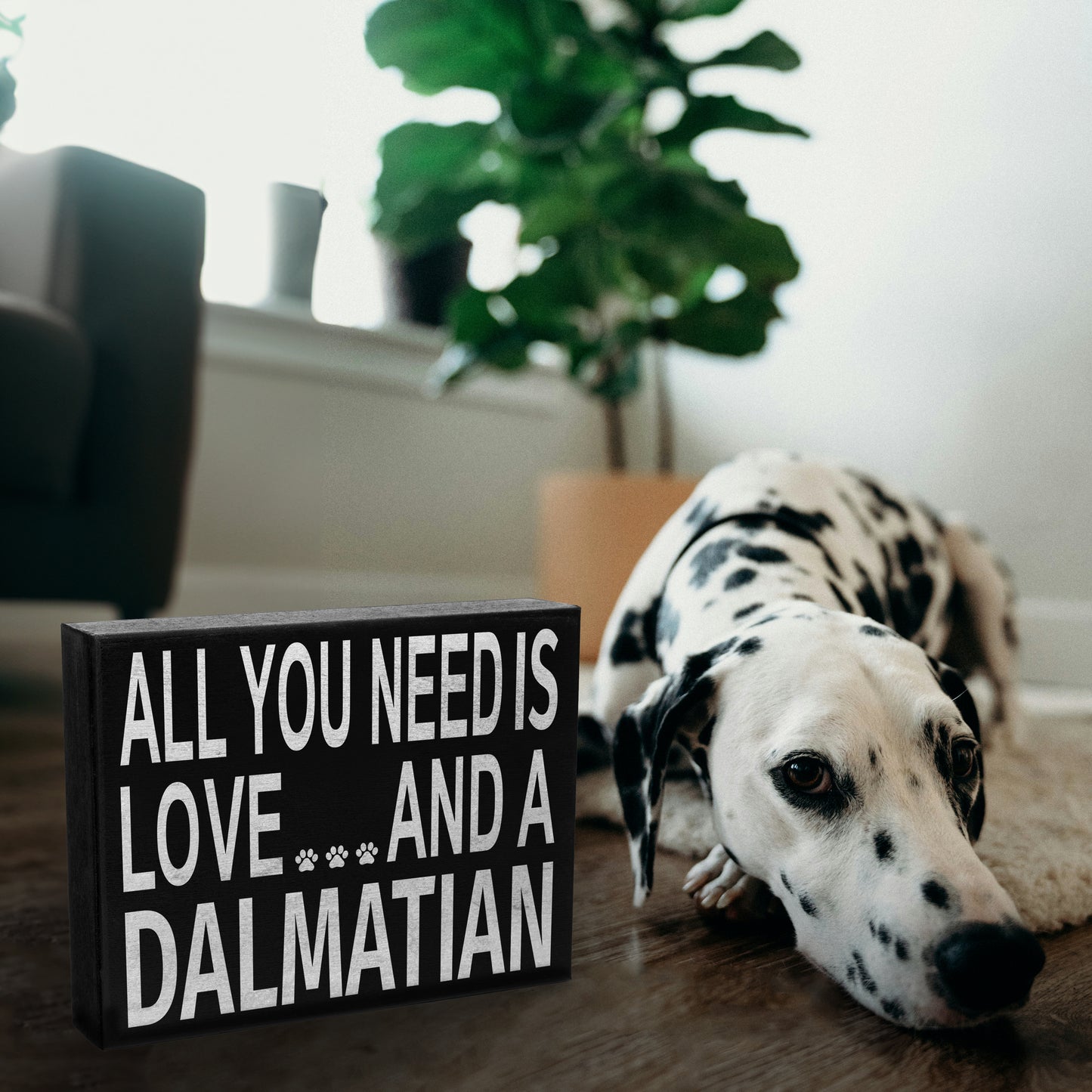 JennyGems All You Need is Love and a Dalmatian | Wooden Box Sign | Dalmatian Dog Home Accent | Dalmatian Wooden Gift Sign | Made in USA