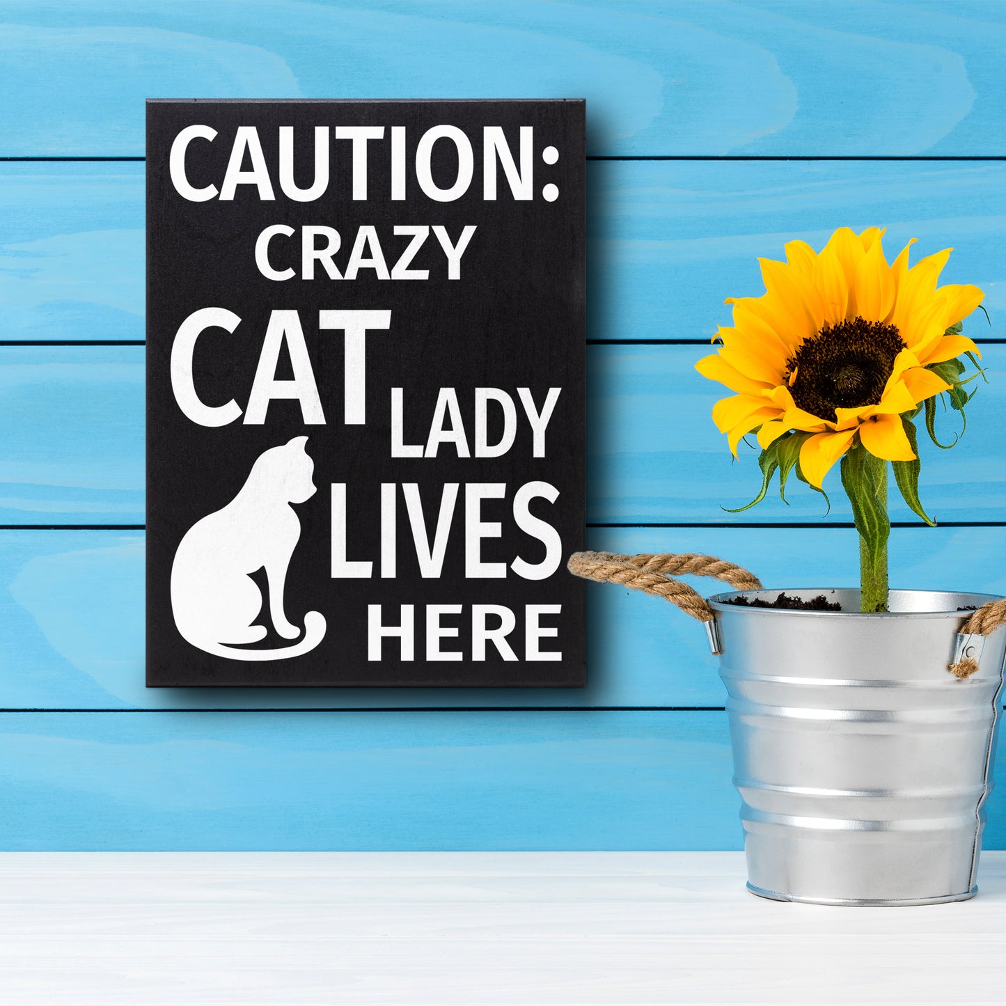 JennyGems Caution Crazy Cat Lady Lives Here Sign, 6x8 Inch Hanging Wall Art, American Made, Cat Lady Decor, Funny Cat Signs