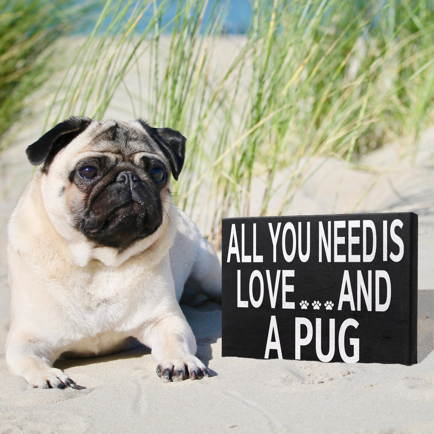 JennyGems All You Need Is Love and a Pug, 8x6 Inch Wood Sign, Pug Decor, Pug Gifts, Pug Mom, Pug Lovers Gifts