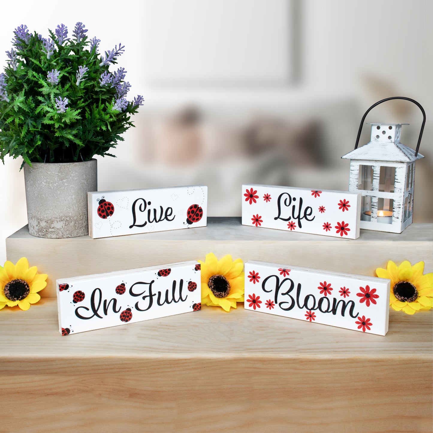 JennyGems Spring Decor Farmhouse Signs, Ladybug Tiered Tray and Tabletop Centerpiece Shelf or Mantel Decorations for Spring, Made in USA