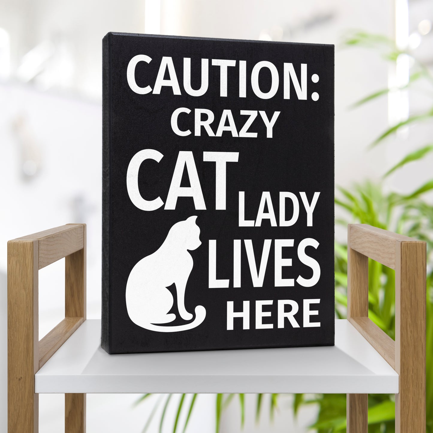 JennyGems Caution Crazy Cat Lady Lives Here Sign, 6x8 Inch Hanging Wall Art, American Made, Cat Lady Decor, Funny Cat Signs